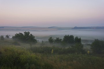 Glade not far from the river at dawn