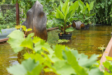 An artificial garden pond.