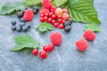 Raspberry raspberries blueberries gooseberries