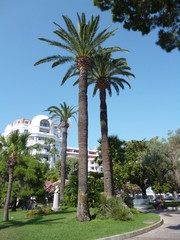 Cannes Cote d'Azur