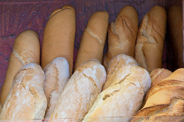 Italian typical bread