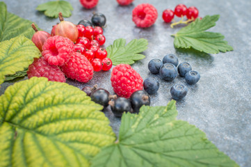 Raspberry raspberries blueberries gooseberries