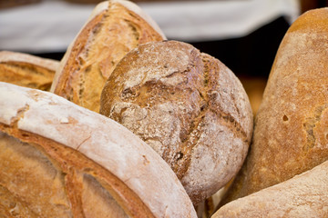 Italian typical bread