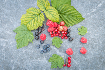 Raspberry raspberries blueberries gooseberries