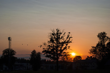 Sunny field sunset