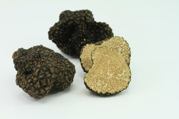 truffes d'été 2017