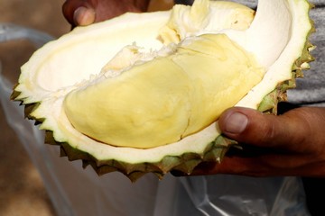 Durian
