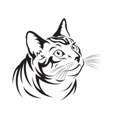 Vector of a cat on white background. Pet Animal.