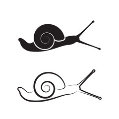 Vector of a snail on white background. Reptile Animals. © yod67