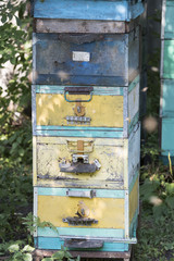 The bee hive is shot close-up in the summer on an apiary 