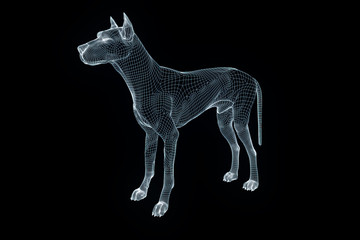 Dog in Hologram Wireframe Style. Nice 3D Rendering
- 166334277