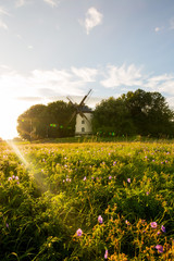 Windmühle