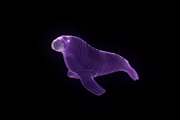 Walrus Seal in Hologram Wireframe Style. Nice 3D Rendering
