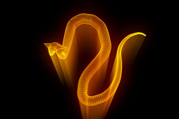 Snake in Hologram Wireframe Style. Nice 3D Rendering
