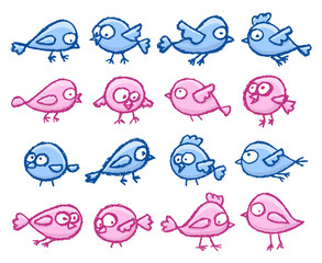 Cute little birds