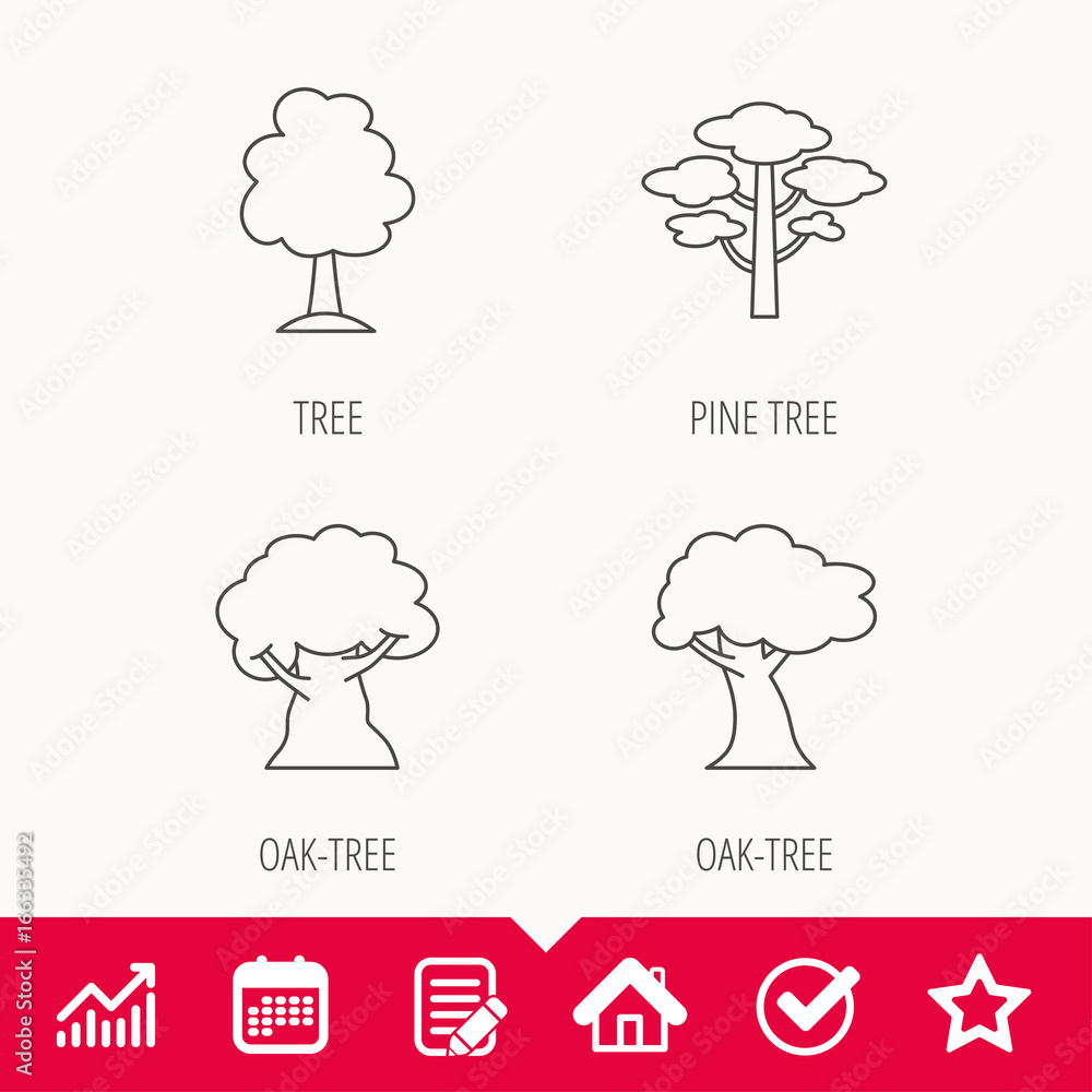 Poster pine tree, oak-tree icons. forest trees linear sign. edit document, calendar and graph chart signs. 