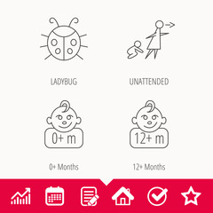 Infant child, ladybug and 0+ months child icons. Unattended child linear sign. Edit document, Calendar and Graph chart signs. Star, Check and House web icons. Vector