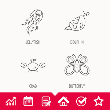 Jellyfish, crab and dolphin icons. Butterfly linear sign. Edit document, Calendar and Graph chart signs. Star, Check and House web icons. Vector
