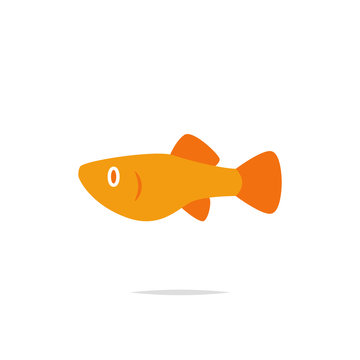 recommend clip art: Guppy fish icon vector