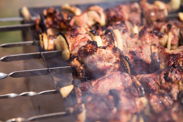 Cooking meat on the fire. Shish kebab on the grill (close)