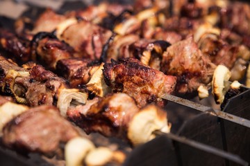 Cooking meat on the fire. Shish kebab on the grill (close)