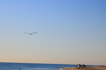 Fototapeta premium Sky