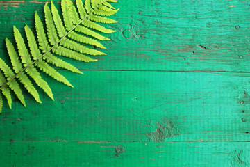 Frame from fresh fern leaves on old painted turquoise wooden background with copy space.