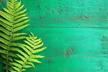 Frame from fresh fern leaves on old painted turquoise wooden background with copy space.