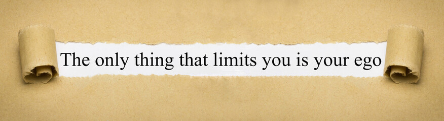 The only thing that limits you is your ego