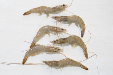Raw shrimp on the table, top view.
