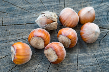 hazelnuts on a old wooden background