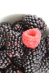 fresh blackberry and red raspberry fruits in a small white bowl