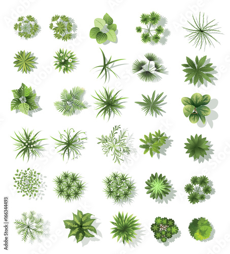 "set of treetop symbols, for architectural or landscape design, for map