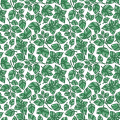 Hand drawn vector seamless pattern with mint leaves