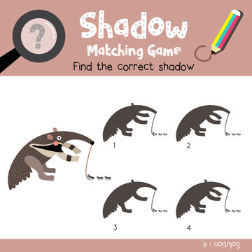 Shadow matching game of Anteater animals for preschool kids activity worksheet colorful version. Vector Illustration.