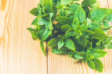 A bunch of green lemon basil on a wooden table.