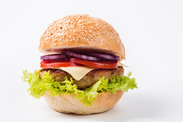 Big burger on a white background close up