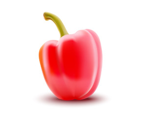 Fresh red pepper vegetable isolated icon. pepper for farm market, vegetarian salad recipe design.