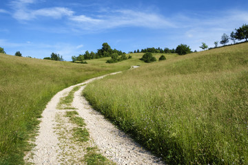 Fototapeta na wymiar Rural road in central Slovenia.