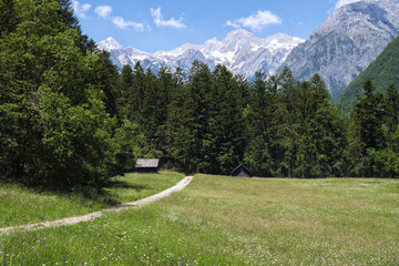 Hiking path in the Kamniska bistrica valley. © dejank1