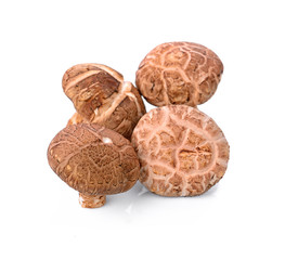 Shiitake mushroom on the White background