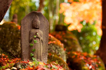 Mr. Jizo under the autumn leaves. 紅葉の下のお地蔵様