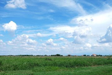 green grass field meadow landscape with blue sky