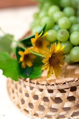 Grapes of grapes on a wooden table.