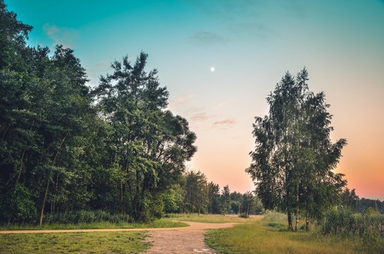 Summer morning landscape. Green trees with colored sky and moon in the background. © shadowmoon30