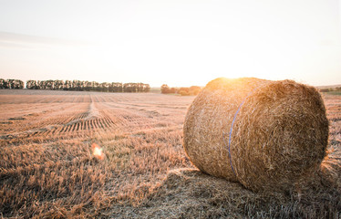 Straw bales in the summer evening on the field.