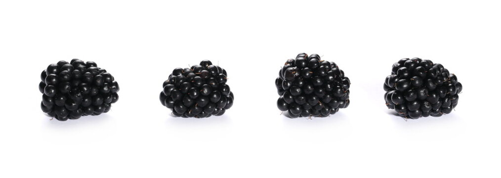 Blackberries isolated on white background 