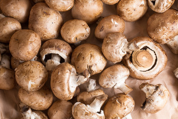 close up of brown mushrooms