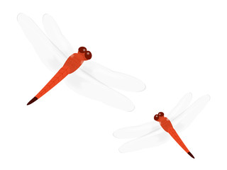 赤とんぼ © R-DESIGN