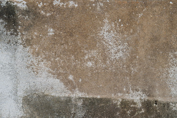 concrete white  texture background